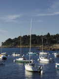 Trebeurden Harbour  Cote De Granit Rose  Cotes d'Armor  Brittany  France