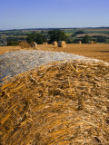 Hay Bales  Seen from the Cotswolds Way Footpath  the Cotswolds  Gloucestershire  England