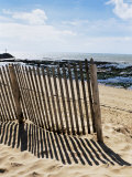 Beach  La Cotiniere  Ile d'Oleron  Charente-Maritime  Poitou Charentes  France