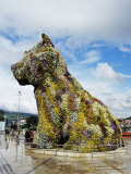 Jeff Koons "Puppy" 1992  Stainless Steel  Guggenheim Museum
