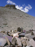 Long Zhu Que Dan  Ritu County  Tibet  China