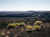 Yellow Flowering Plants and Loop Road Seen from Inferno Cone  Idaho  USA