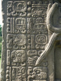 Mayan Stela J  Dating from 756 AD  Quirigua  Unesco World Heritage Site  Guatemala  Central America