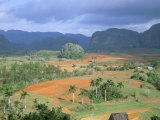 View Over Vinales Valley Towards Tobacco Plantations and Mogotes  Vinales  Cuba