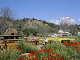 Winston Churchill Memorial Park Covered with Spring Flowers  St Brelades Bay  Jersey  UK