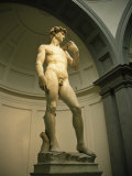 Michelangelo's Statue of David  Florence  Tuscany  Italy