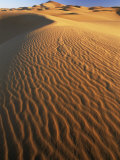 Sand Dunes in Erg Chebbi Sand Sea  Sahara Desert  Near Merzouga  Morocco  North Africa  Africa