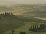 Morning View Across Val d'Orcia to the Belvedere  Near San Quirico d'Orcia  Tuscany  Italy
