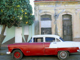 Old American Car Parked on Street Beneath Fruit Tree  Cienfuegos  Cuba  Central America