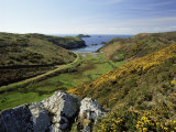 View to Sea and Beach from Coast Path Near Lower Solva  Pembrokeshire  Wales  United Kingdom