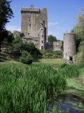 Blarney Castle  County Cork  Munster  Eire (Republic of Ireland)