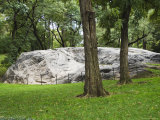 Granite Outcrops in Central Park  Manhattan  New York City  New York  USA