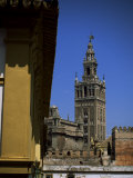Giralda Tower  Seville  Andalucia  Spain