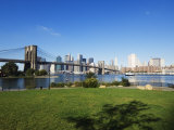 Brooklyn Bridge and Manhattan Skyline  Brooklyn Bridge Park  New York City  USA