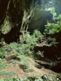 Looking out Through Entrance of Cave  Deer Cave  Gunung Mulu National Park  Sarawak