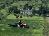 Croft with Hay Cocks and Tractor  Glengesh  County Donegal  Eire (Republic of Ireland)