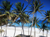 Bottom Bay  Barbados  West Indies  Caribbean  Central America