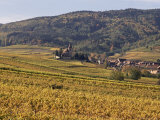 Vineyards  Hunawihr  Alsace  France