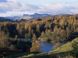 Tarn Hows  Lake District National Park  Cumbria  England  United Kingdom