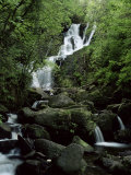 Torc Waterfall  Killarney  County Kerry  Munster  Eire (Republic of Ireland)