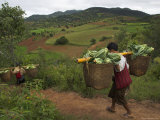 Two Men Carrying Heavy Loads on the Way to Local Market  Shabin Area  Shan State  Myanmar (Burma)