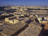 Jewish Tombs in the Mount of Olives Cemetery  with the Old City Beyond  Jerusalem  Israel