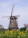 Windmill  Kinderdijk  Near Rotterdam  Holland