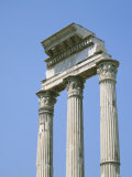 The Forum  Rome  Lazio  Italy