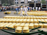 Cheese Market  Alkmaar  Holland