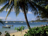 Reduit Beach  Rodney Bay  St Lucia  Windward Islands  West Indies  Caribbean  Central America