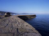 The Cobb  Lyme Regis  Dorset  England  United Kingdom