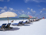 Beach  Longboat Key  Sarasota  Florida  USA