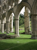 Rievaulx Abbey  North Yorkshire  England  United Kingdom