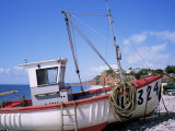 Fishing Boat  Budleigh Salterton  Devon  England  United Kingdom