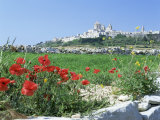 Mdina  the Silent City  Malta