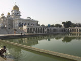 Sikh Pilgrim Bathing in the Pool of the Gurudwara Bangla Sahib Temple  Delhi  India