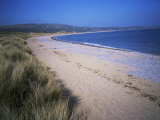 The Beach  Oxwich Bay  Gower  Swansea  Wales  United Kingdom