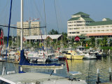Boat Harbour  Cairns  Queensland  Australia