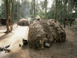 Primitive Huts of Pygmy Village in Forest Near Bagandou  Central African Republic  Africa