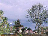 siwi