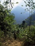 Jungle  Sierra Nevada  Colombia  South America