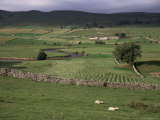 Garsdale  Yorkshire  England  United Kingdom