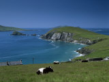 County Kerry  Munster  Eire (Republic of Ireland)