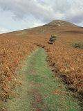 The Sugar Loaf  in Autumn  Black Mountains Near Abergavenny  Monmouthshire  Wales