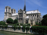 Notre Dame Cathedral from the Left Bank  Paris  France
