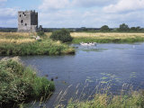 Threave Island and Castle  Dumfries and Galloway  Scotland  United Kingdom