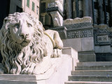 Lion  San Lorenzo Cathedral  Genoa (Genova)  Liguria  Italy