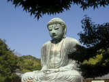 The Big Buddha Statue  Kamakura City  Kanagawa Prefecture  Japan
