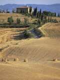 Rolling Landscape in Siena Province  Tuscany  Italy