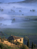 Montalcino  Tuscany  Italy